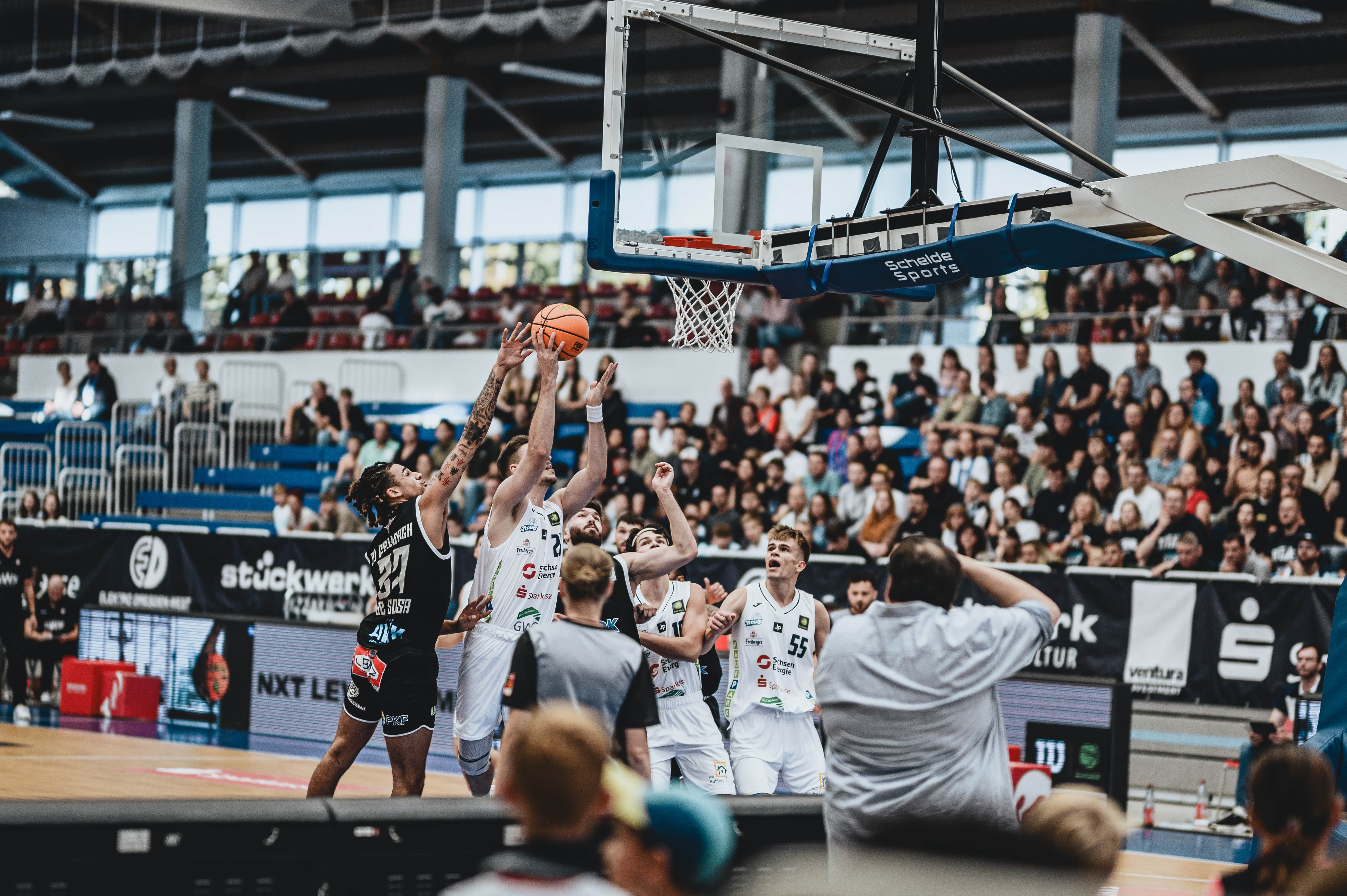 ProB – Neue Liga neue Helden: Dresden Titans wollen gegen Würzburger Talentschmiede endlich den ersten Sieg einfahren